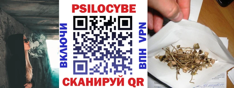 Псилоцибиновые грибы Cubensis Фокино